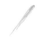 GLOSSIE lūpų blizgesys, 01- Crystal, 2,8 ml.